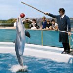History of Cleethorpes Zoo and Marineland