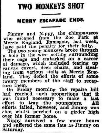Merrie England & Pleasurama: Ramsgate's amusement park 1934 press cutting about two monkeys escaping from merrie england amusementent park in ramsgate